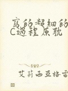 写的超细的多肉C过程原耽