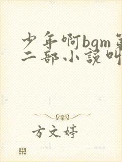 少年啊bgm第二部小说叫什么
