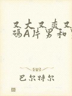 又大又爽又黄无码A片男和男