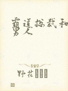 霸道总裁和他的男人