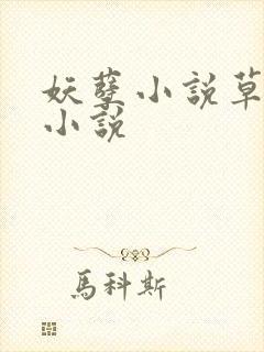 妖孽小说草莓酱小说