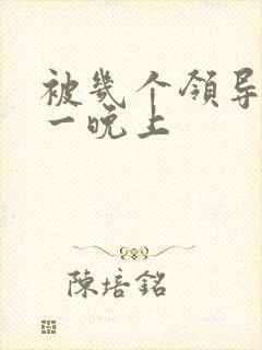 被几个领导玩弄一晚上