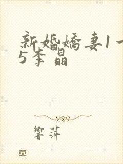 新婚娇妻1一25李晶