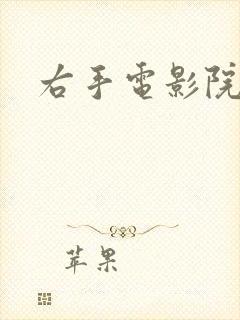 《右手电影院》小说封面