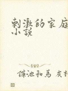 刺激的家庭乱仑小说