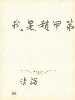 我是赵甲第小说