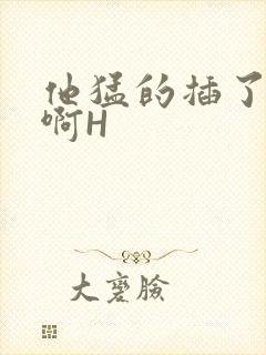 他猛的插了进去啊H