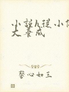 小说h从小做到大养成