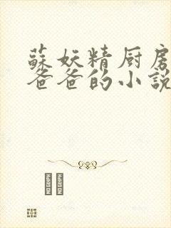 苏妖精厨房爹爹爸爸的小说