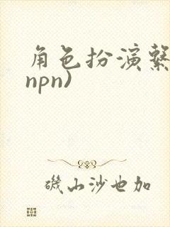 角色扮演系统(npn)