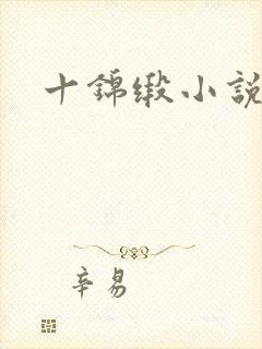 十锦缎小说