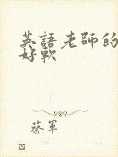 英语老师的兔子好软