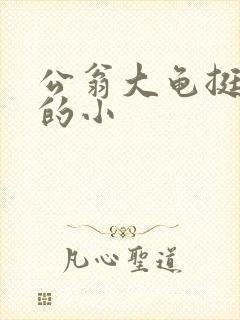 公翁大龟挺进我的小