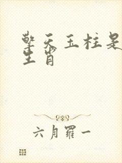 擎天玉柱是什么生肖封面