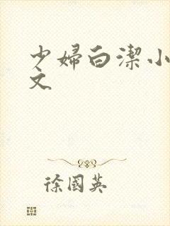 少妇白洁小说全文