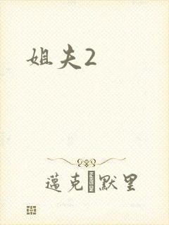 姐夫2