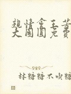 亲情会王芳高敏大团圆免费阅读