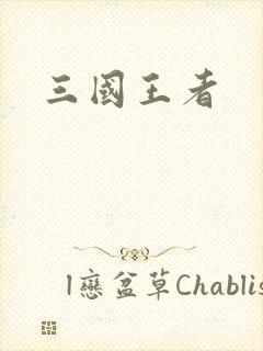 三国王者