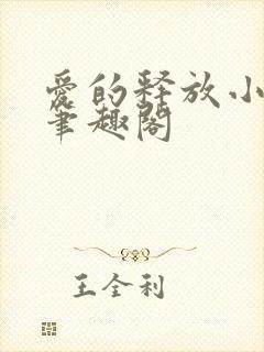 爱的释放小说 笔趣阁