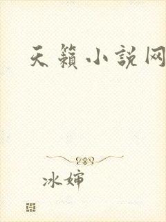 天籁小说网封面