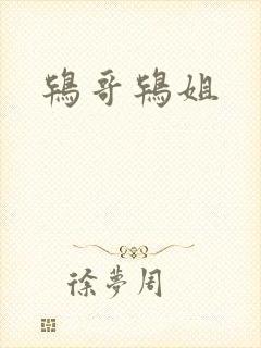 鸨哥鸨姐