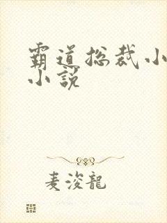 霸道总裁小娇妻小说