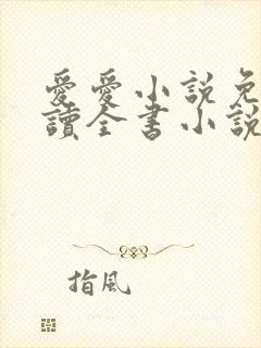 爱爱小说免费阅读全书小说乡村