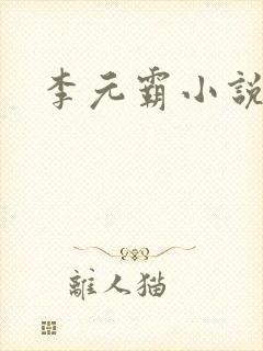 李元霸小说