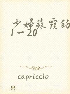 少妇苏霞的沉沦1一20