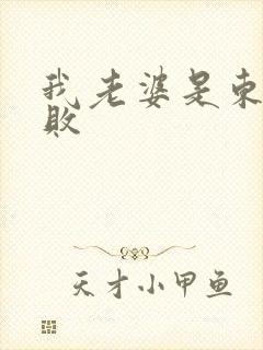 我老婆是东方不败