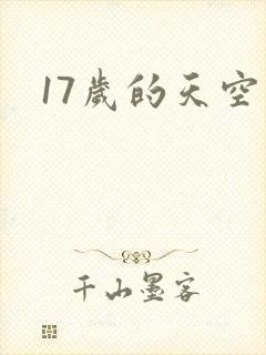 17岁的天空