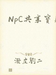 NpC共享宝贝