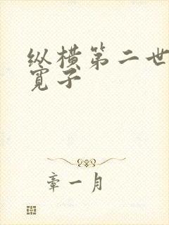 纵横第二世界 宽子
