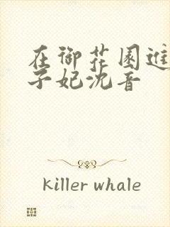 在御花园进入太子妃沈音