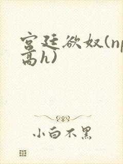宫廷欲奴(np高h)