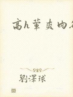高h荤爽肉欲文