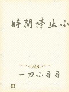 时间停止小说