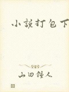 小说打包下载