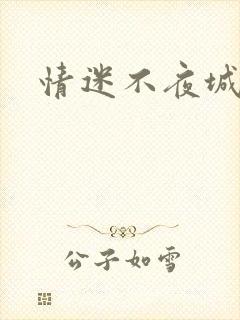 情迷不夜城