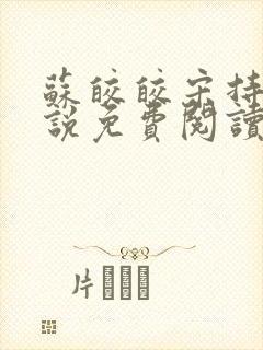 苏皎皎宋持的小说免费阅读