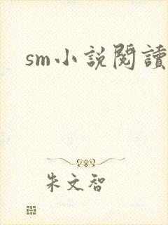 sm小说阅读