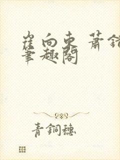 崔向东 萧错 笔趣阁