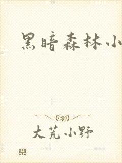 黑暗森林小说