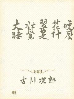 大壮翠花晚上不睡觉是什么电视剧