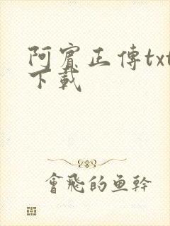 阿宾正传txt下载