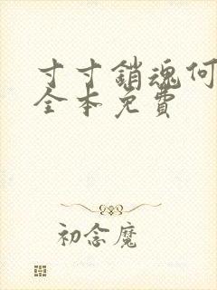 寸寸销魂何生祥全本免费