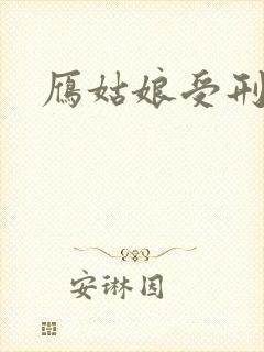 雁姑娘受刑记封面