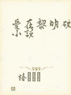 爱在黎明破晓前小说