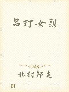 《吊打女烈》小说封面