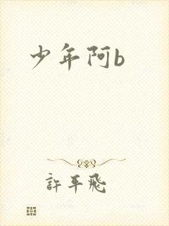 少年阿b